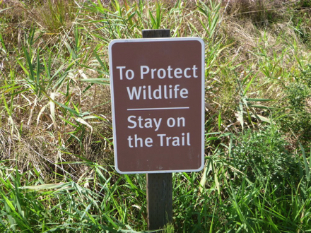 Posted sign that says ‘To protect wildlife stay on the trail’ Posted sign that says ‘To protect wildlife stay on the trail’